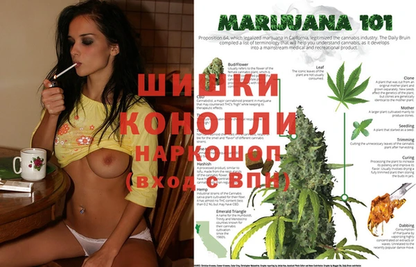 хмурый Аркадак