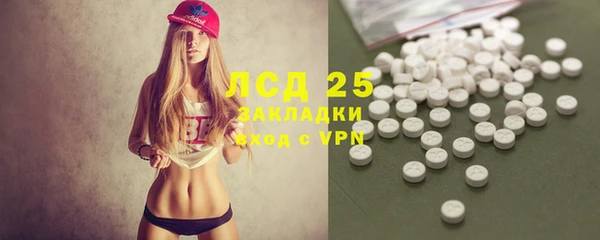 хмурый Аркадак