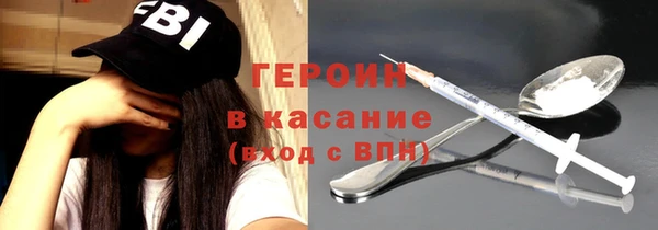 хмурый Аркадак