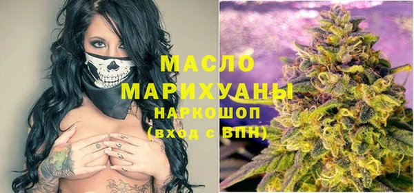 хмурый Аркадак