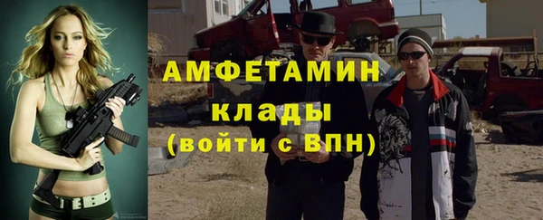 хмурый Аркадак